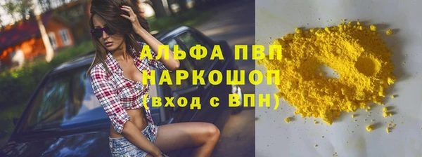 PSILOCYBIN Лабытнанги