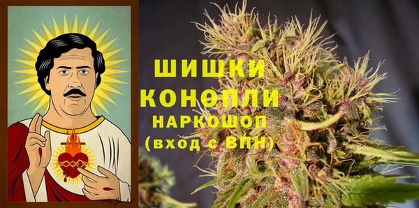 PSILOCYBIN Лабытнанги