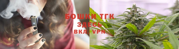 PSILOCYBIN Лабытнанги